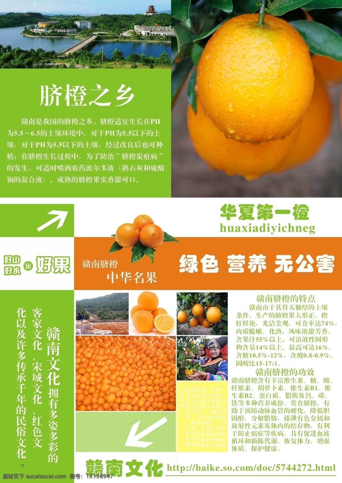 水果 赣南脐橙 宣传单 海报 排版 绿色
