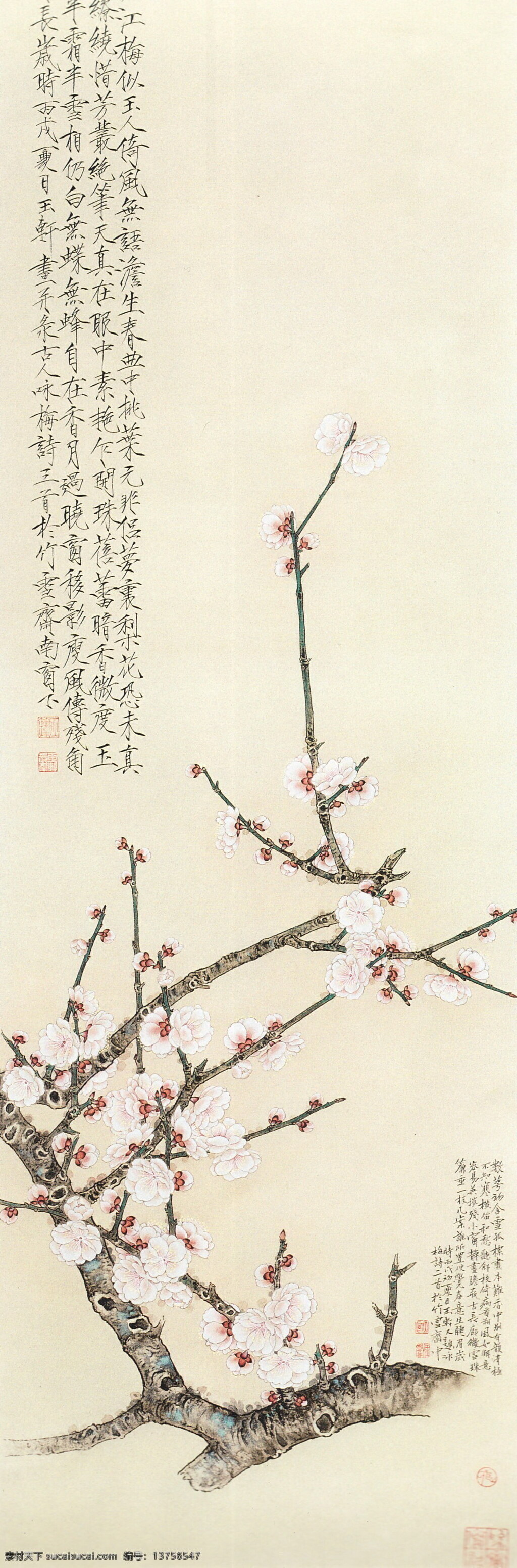 白描画 风景画 工笔画 国画 绘画书法 梅花 书法 春汛设计素材 春汛模板下载 春汛 线描 中国画 植物 树木 大师作品 工笔画花草 梅花工笔画 工笔画梅花 树杆 树枝 鲜花 文化艺术 装饰素材 山水风景画
