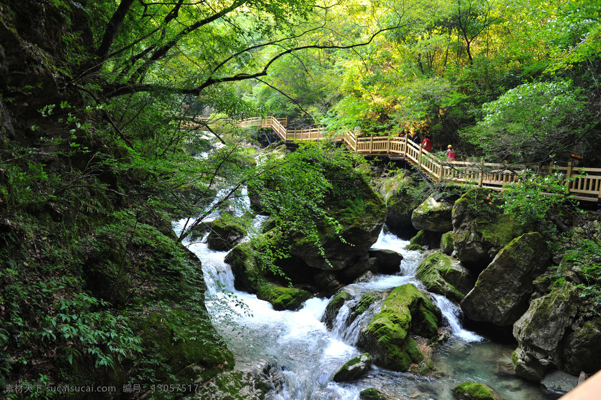 神农架 湖北神农架 神农架旅游 神农谷 神农架神农谷 溪流 小溪 溪水 旅游摄影 国内旅游