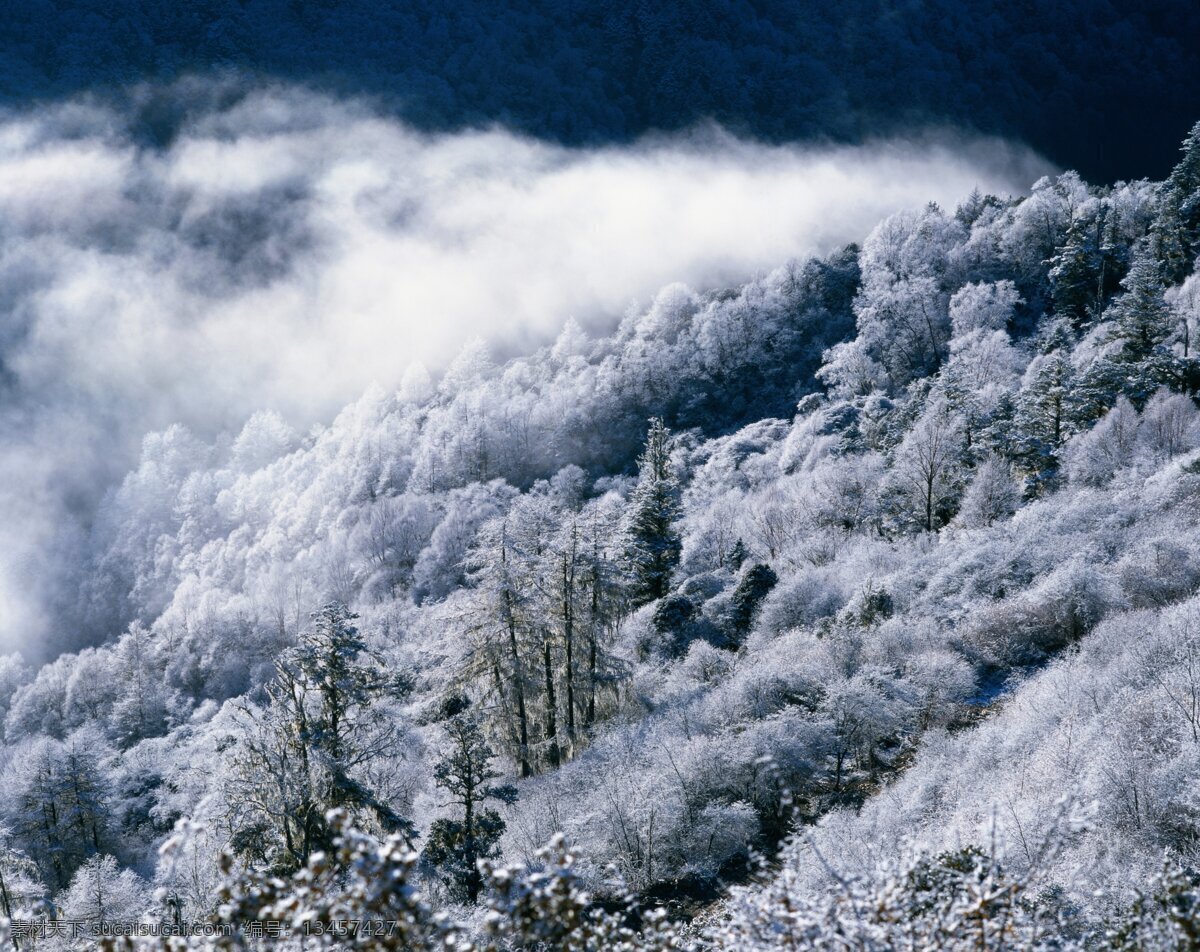 雪景 下雪 冬天 雪花 市 城市 街道 老街 建筑 电脑壁纸 黄昏 风景 舞台 路灯 灯光 背景 底色 卡通背景 儿童背景 蓝天 白云 草地 海边 海浪 沙滩 马路 乡间小路 道路 中国风 月光 中国风背景 高山 自然风景 花朵 湖泊 手机壁纸 冰块 寒冰 冰霜 雪山 雪地 花海 室内 壁纸 冰 jpg图片 自然景观 山水风景