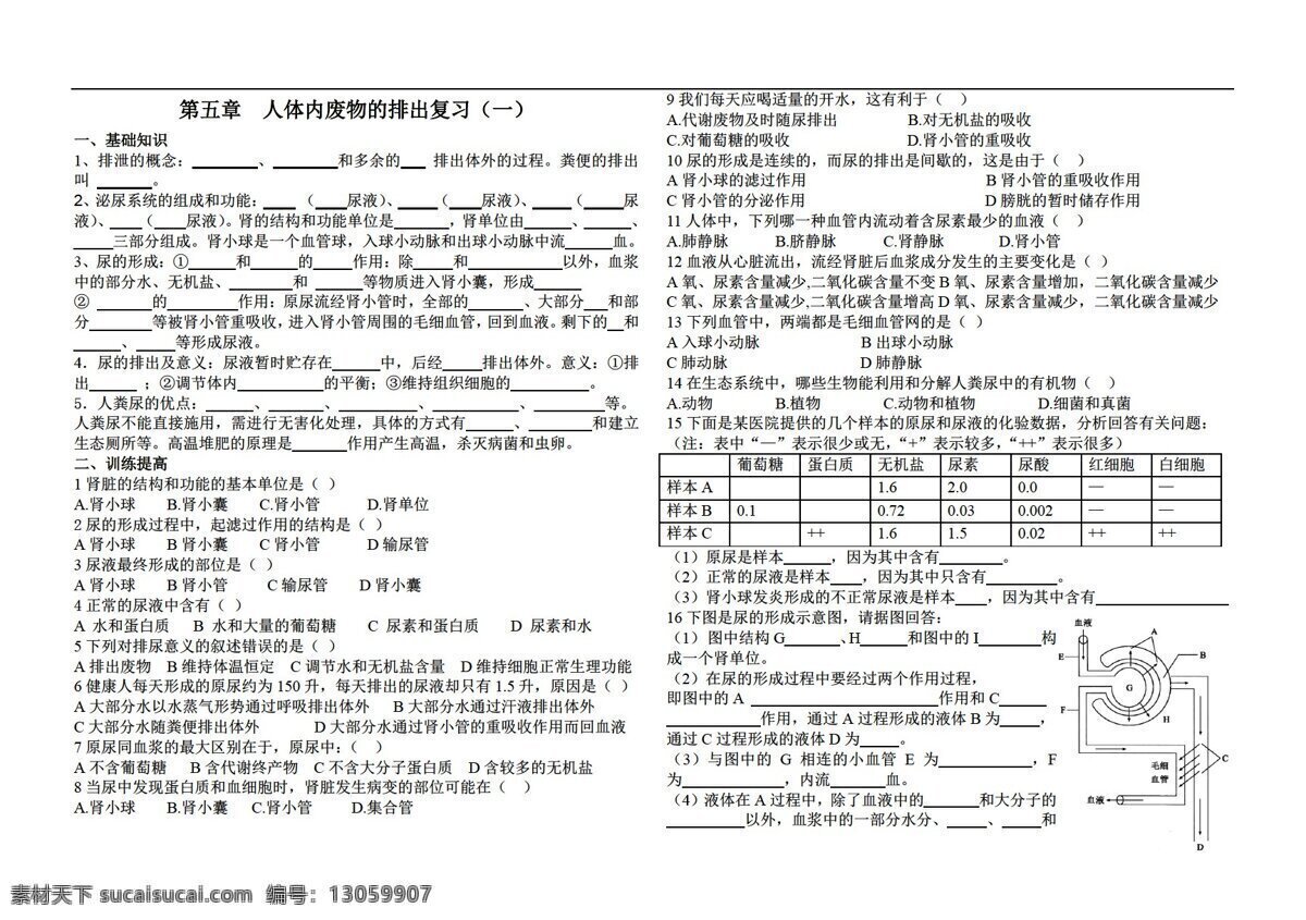 七 年级 下册 生物 五 章 人体 内 废物 排出 复习 人教版 七年级下册 试题试卷