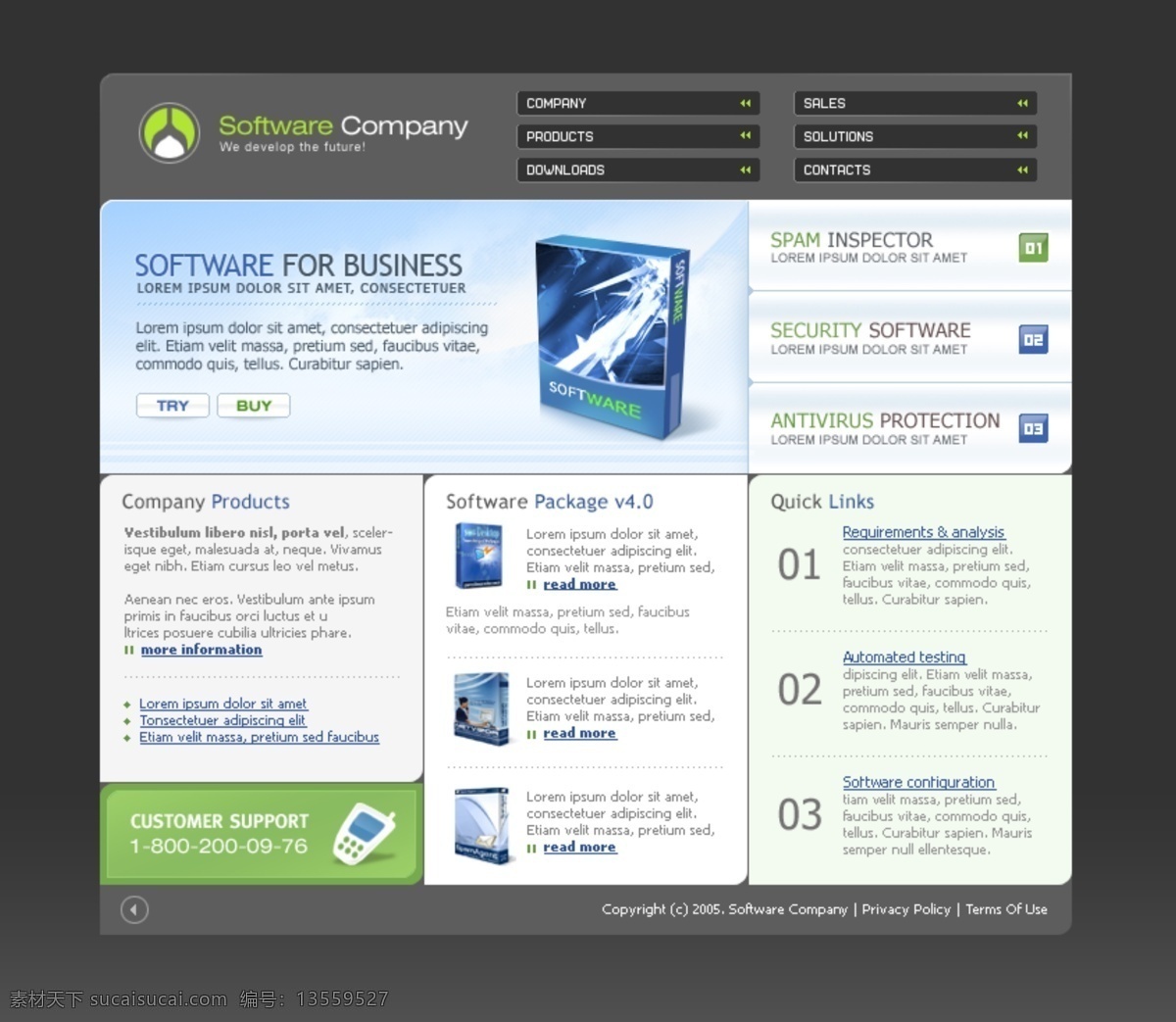 软件公司 介绍 网页模板 公司 软件 网页素材 网页代码