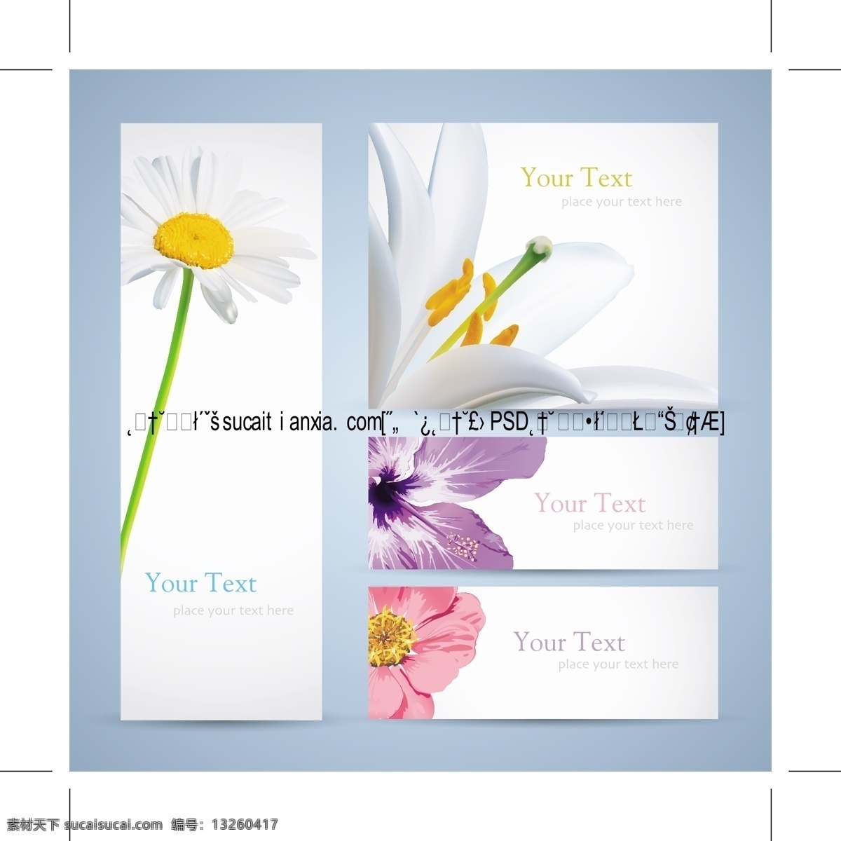 娇艳 鲜花 横幅 条幅 矢量 百合 花瓣 花朵 花蕊 菊花 兰花 郁金香 花卉 banner