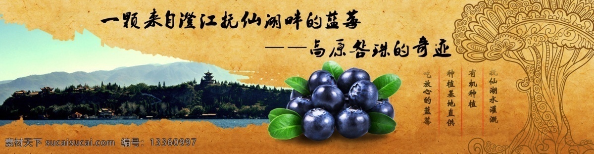 含 淘宝 天猫 店铺 全 屏 蓝莓 海报 淘宝素材 淘宝设计 淘宝模板下载 黄色