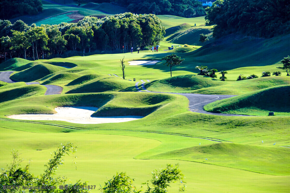 高尔夫球场 草坪 草地 绿地 美丽风景 高尔夫俱乐部 自然风景 自然景观 黄色