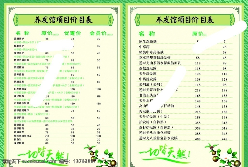 养发 馆 项目 价格表 养发馆价格表 头发养护 白转黑 防脱发养护 面部护理 原生态茶肤 美容养生类