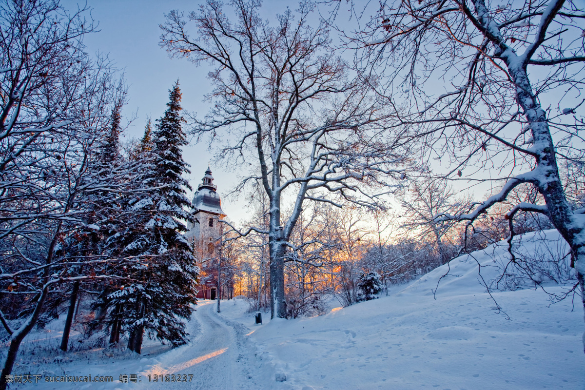 冬季雪景 冬季 冬天 雪景 美丽风景 景色 美景 积雪 房屋 雪地 森林 树木 自然风景 自然景观 黑色