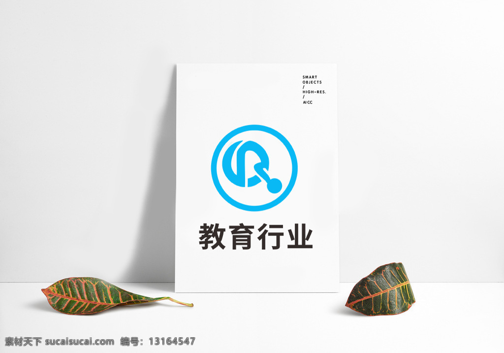 标志 大气 高端 教育机构 行业 logo 教育 机构