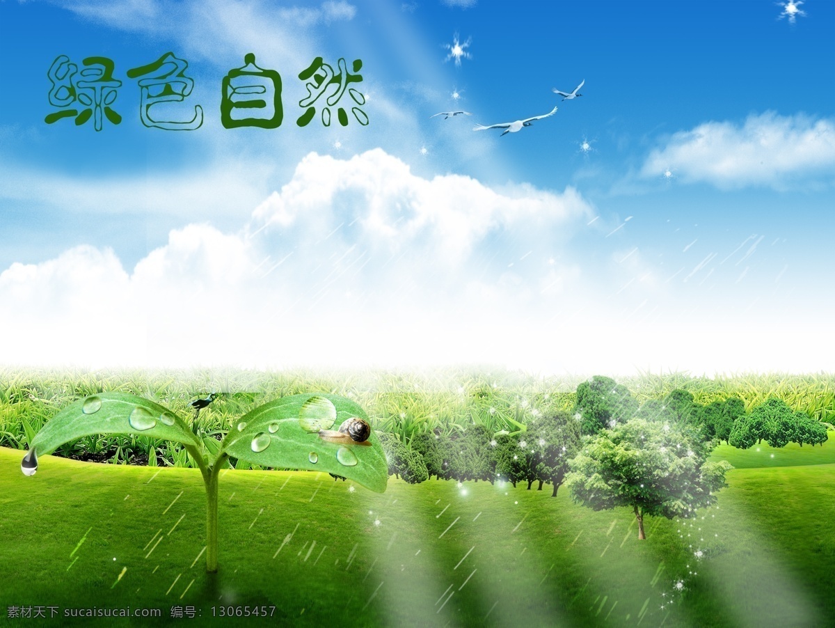 绿色自然 阳光 蓝天 白云 草地 水珠 森林 动物 雨水 幼苗 自然背景素材 分层 源文件库
