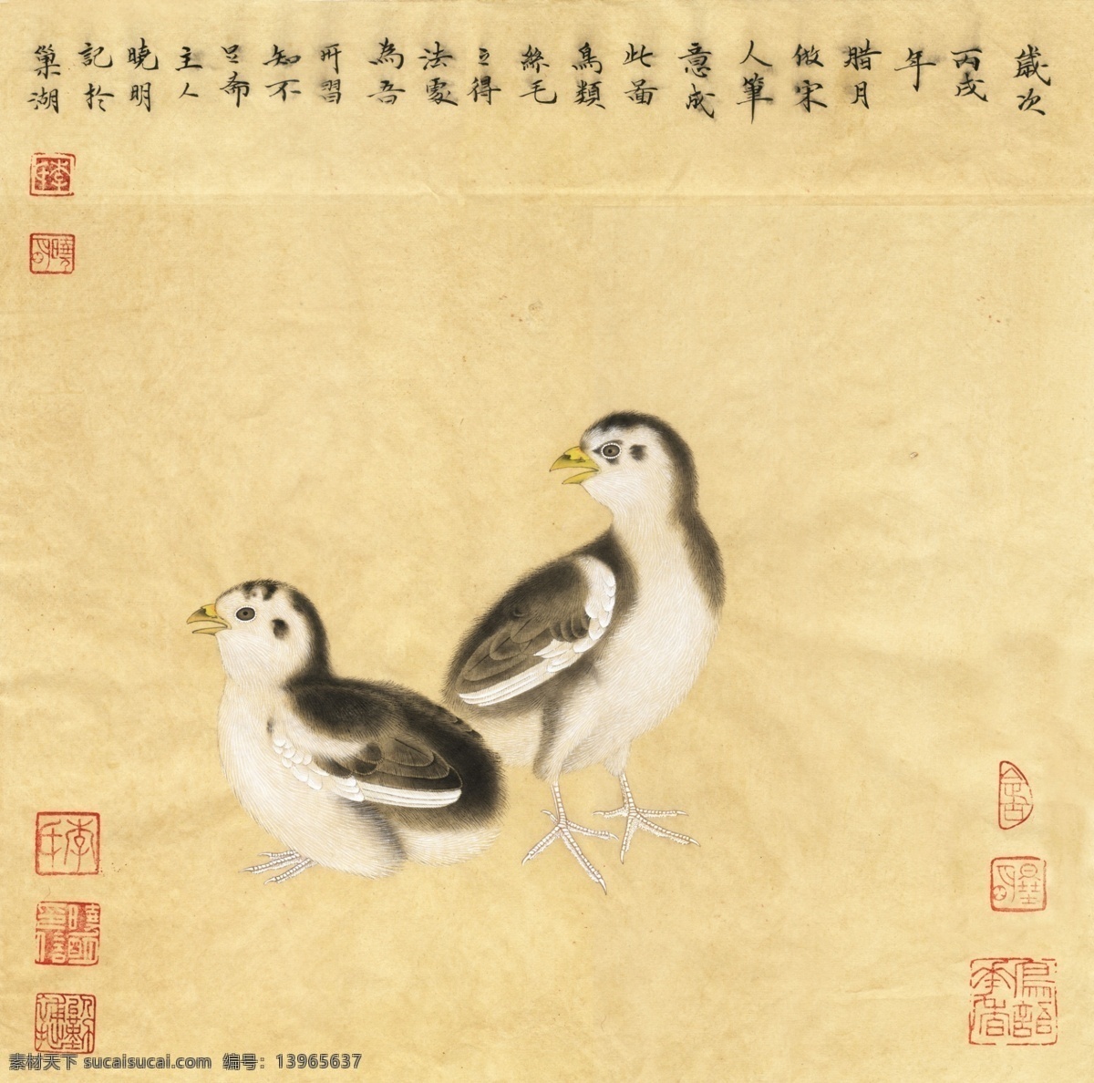 宋 鸡雏 饲 图 国画 高清 黄色