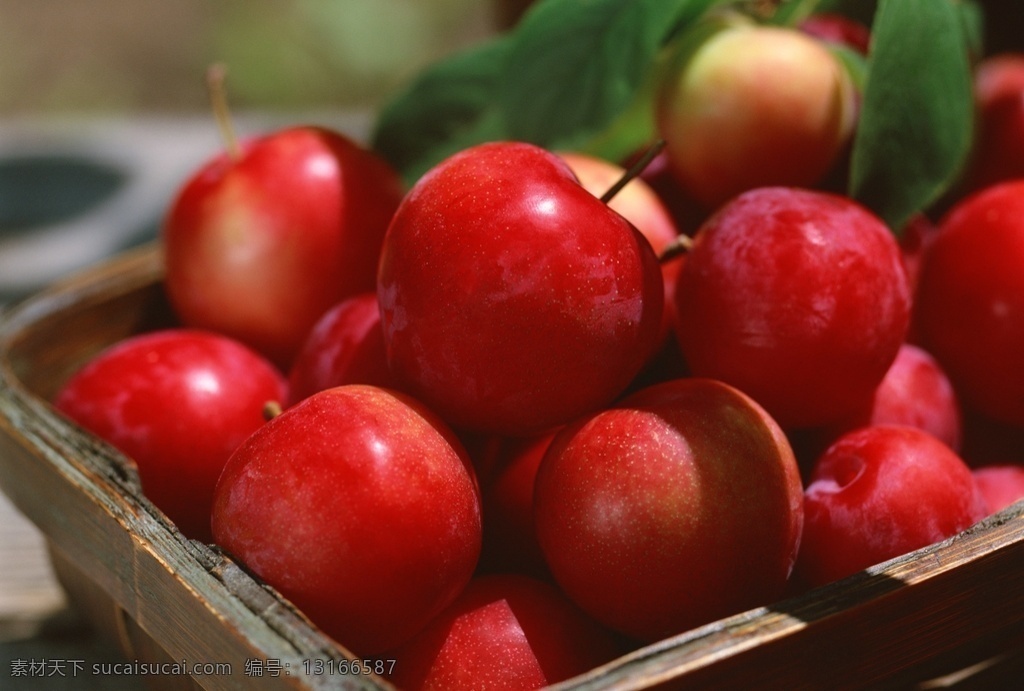 红富士苹果 苹果 红富士 鲜果 水果 有机水果 绿色水果 农副产品 生物世界