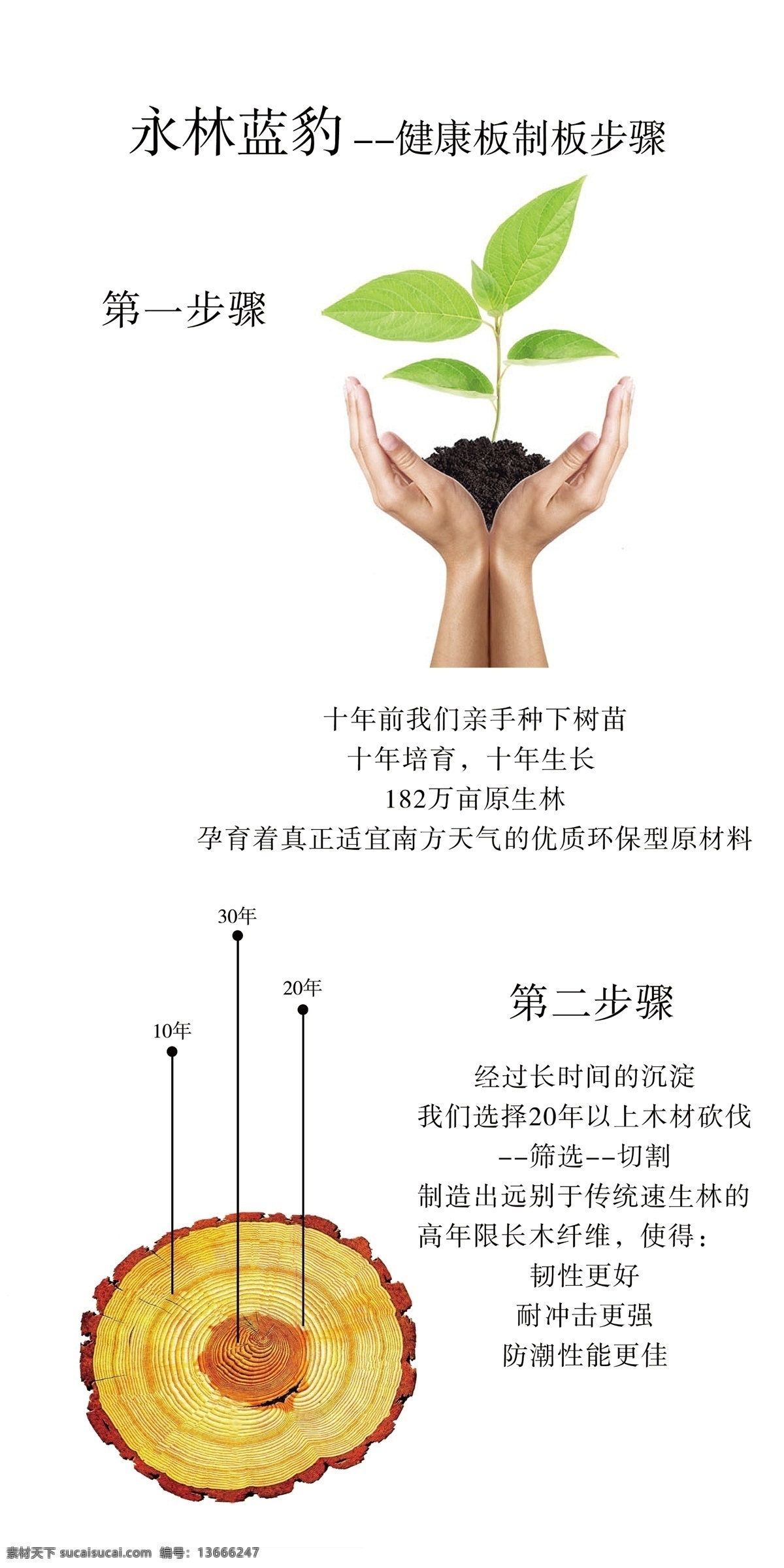 永林 蓝 豹 地板 广告设计模板 木纹 手 幼苗 源文件 永林蓝豹地板 其他海报设计