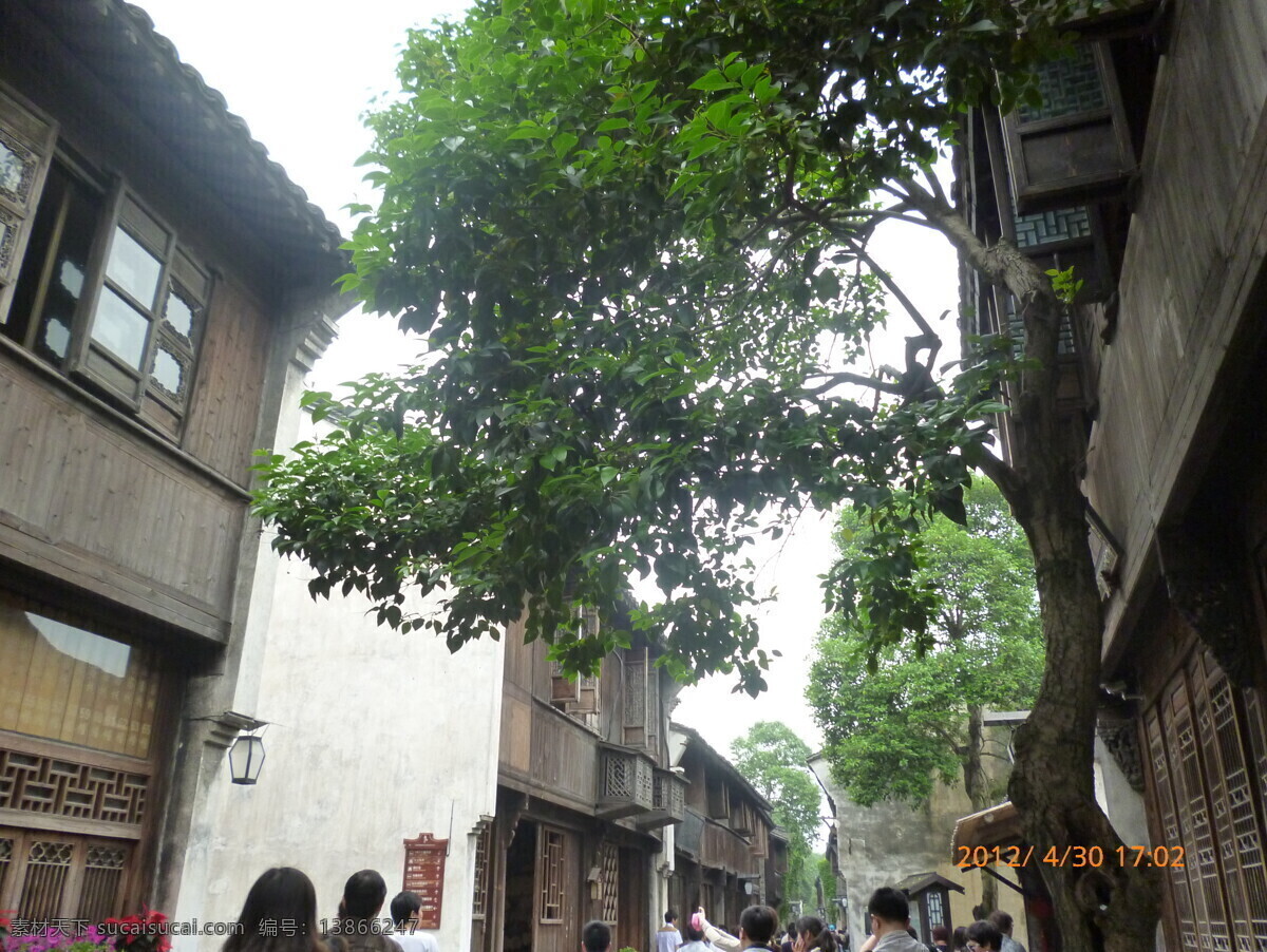 参天大树 古典 古镇 国内旅游 老房子 旅游摄影 树木 乌镇指示牌 乌镇东栅 西栅 旅游参观 小木屋 游人 psd源文件