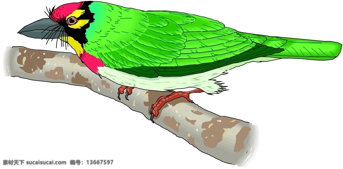 矢量 逼真 鸟类 动物 鸟类矢量图 生物 世界 矢量图 其他矢量图