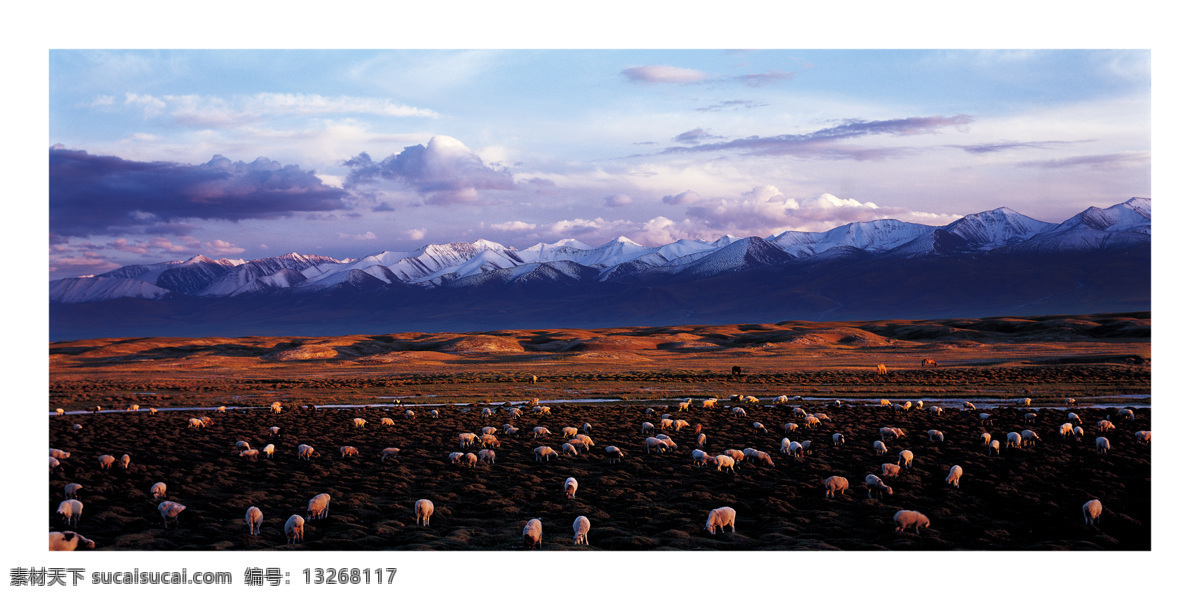 巴音 布鲁克 草原 精美风光 高山草原 湿地 牧场 羊群 雪山牧场 新疆风光 自然风景 自然景观