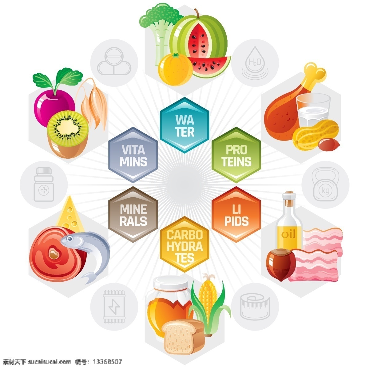 食物元素环 食物 蔬菜 水果 肉类 元素 微量元素 生活百科 医疗保健