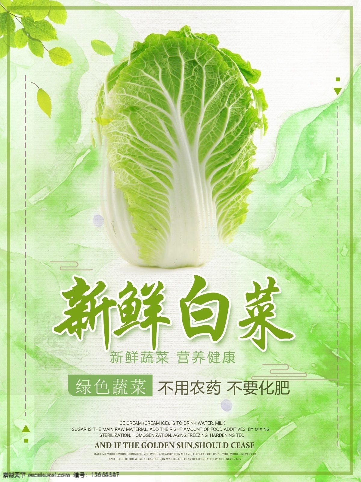新鲜 大白菜 美食 海报 新鲜大白菜 美食海报 白菜 优质白菜 精品白菜 有机白菜 新鲜白菜 绿色蔬菜 分层