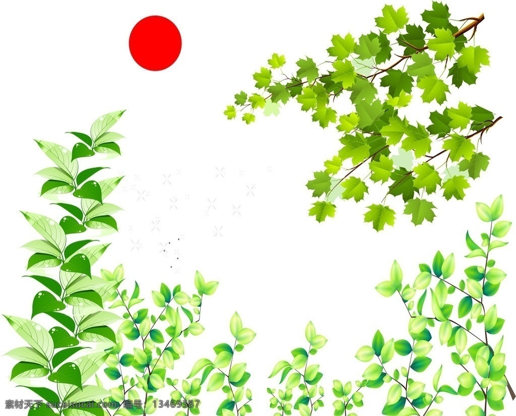 树叶绿叶枫叶 树叶 绿叶 枫叶 竹叶 树叶矢量 绿叶矢量 枫叶矢量 矢量素材 树木树叶 生物世界 矢量