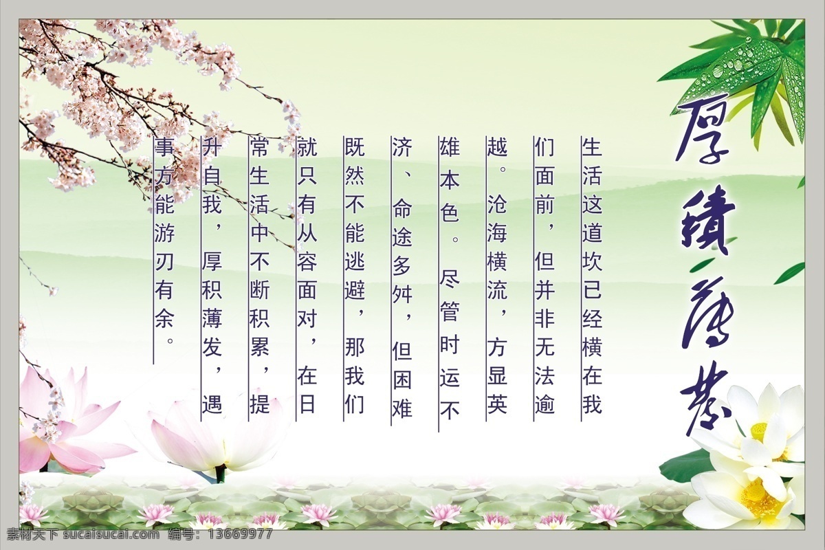 传统文化 厚积薄发 文字 竹叶 荷花 荷叶 背景图 展板模板 广告设计模板 源文件