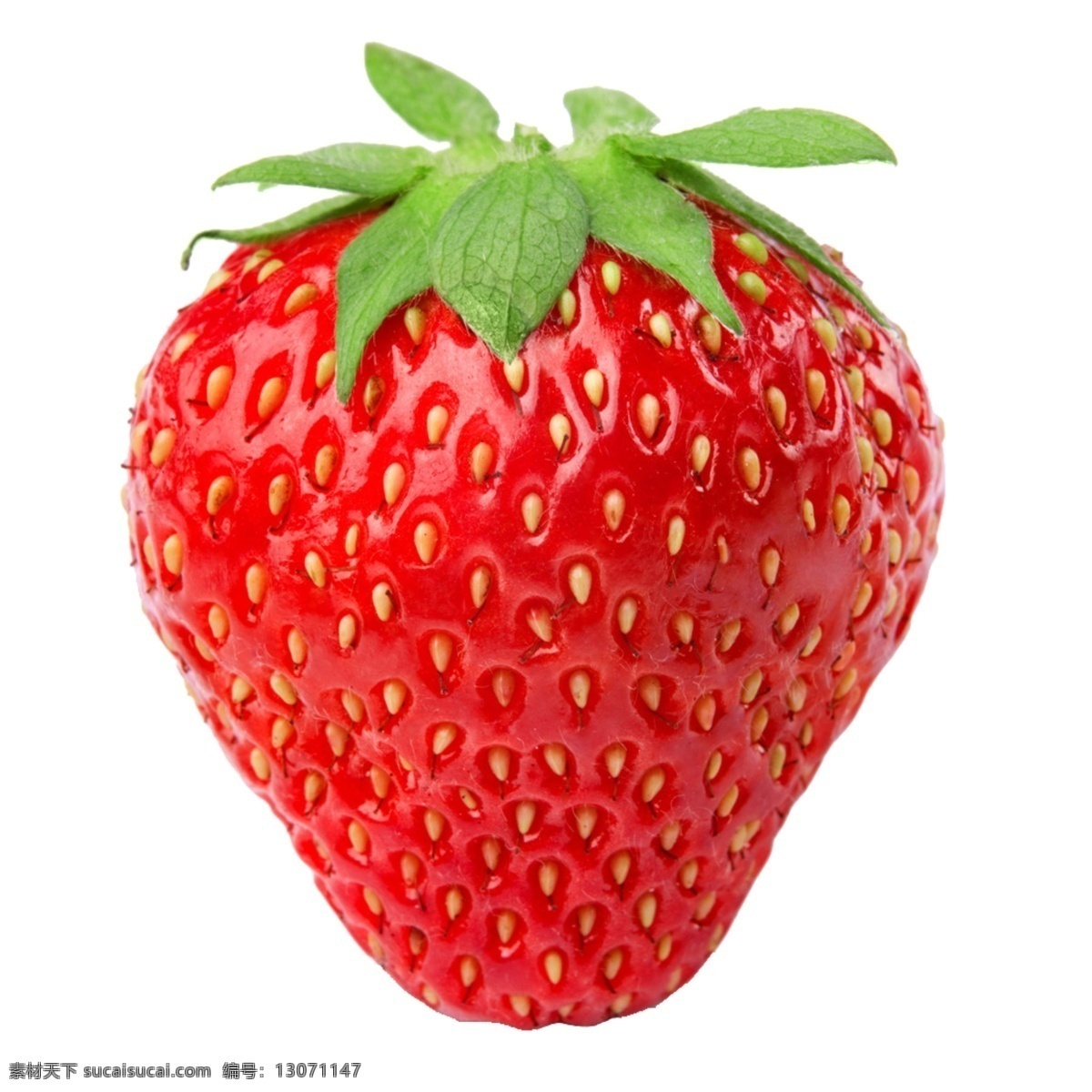 草莓图片 草莓 水果 一颗草莓 红色草莓 莓 素材图