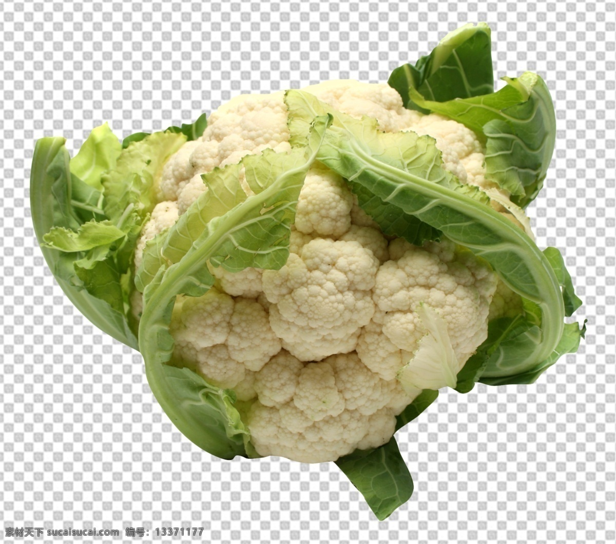 花菜图片 花菜 透明底蔬菜 免抠图 蔬菜 分层图 蔬菜特写 蔬菜写真 火锅蔬菜 新鲜蔬菜 家常蔬菜 有机食品 健康食品 无公害蔬菜 蔬菜照片 瓜果蔬菜 农家蔬菜 蔬菜水果合集 精品蔬菜 有机蔬菜 新鲜 透明背景 透明底 抠图 png图 生物世界 分层 蔬菜透明底