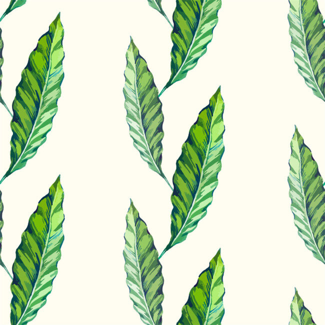 热带植物叶子 广告 背景 背景素材 素材免费下载 底纹背景 植物 叶子 绿色