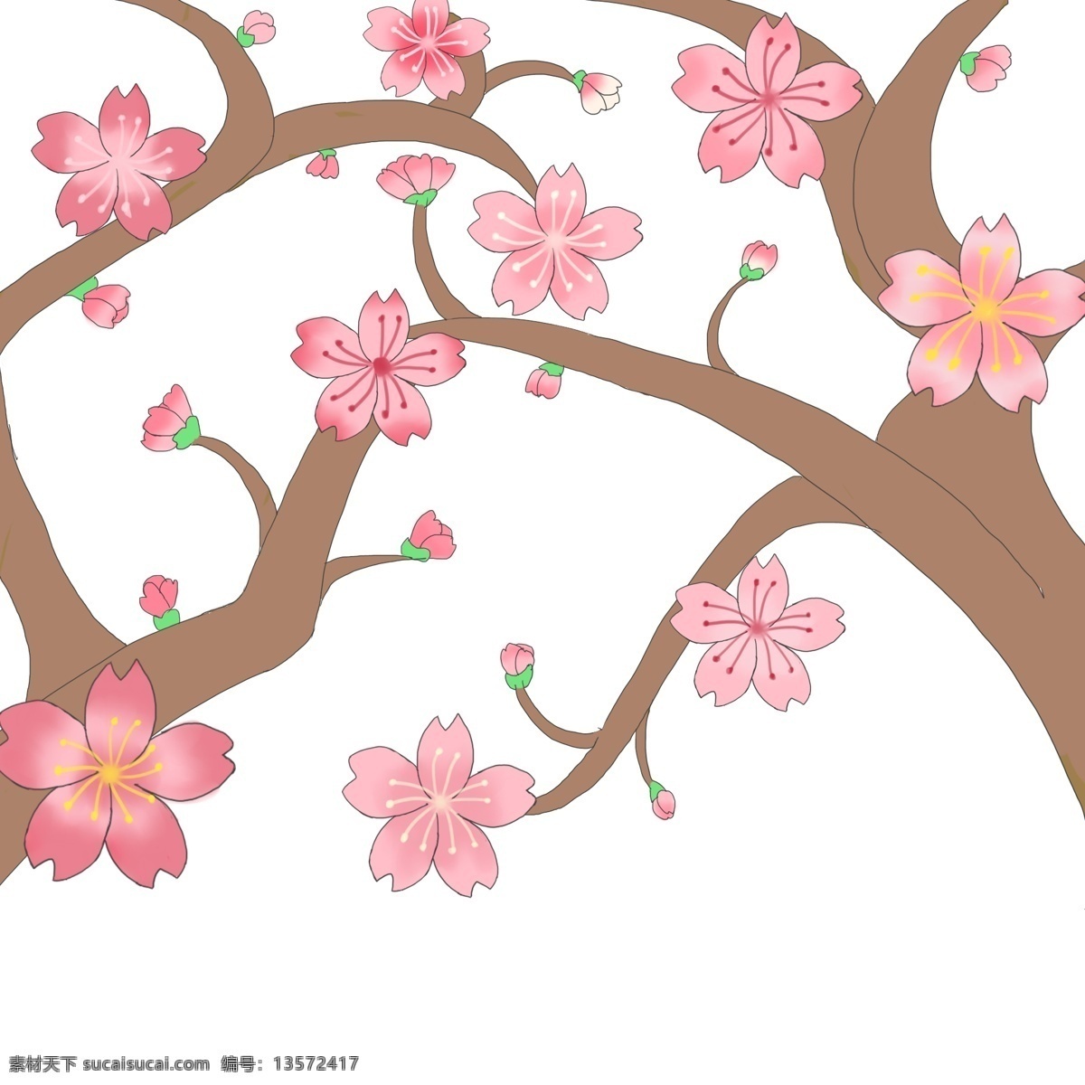 粉色 两 只 樱花 插画 粉色的樱花 春天的樱花 卡通插画 樱花插画 绽放的樱花 日本的樱花 富士山樱花