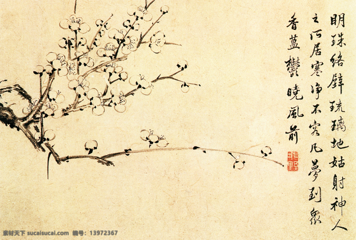 梅花香自苦寒来 梅花 中国风 中华艺术绘画 雪梅 文化艺术