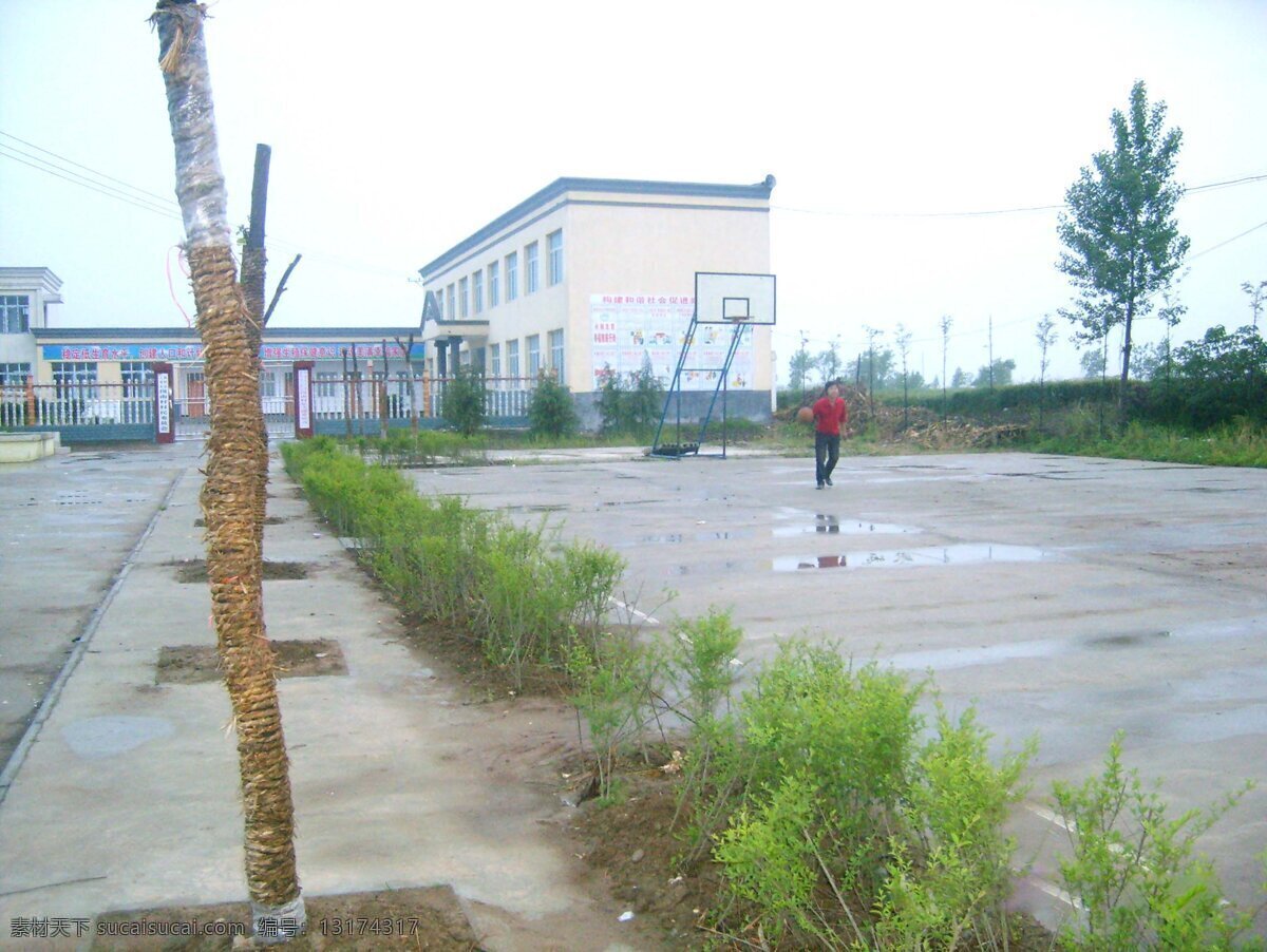 自然风景 风景画 风景图片 花草 建筑 楼房 马路 树木 自然 自然景观 家居装饰素材 山水风景画