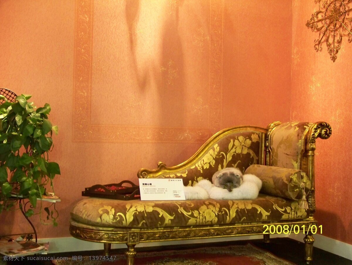 欧式 古典 建筑园林 欧式室内 奢华 室内摄影 贵妃椅 家居装饰素材