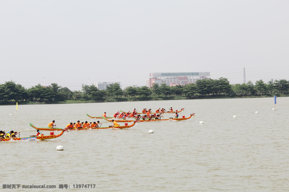 传统文化 端午 端午赛龙舟 湖 湖面 湖水 龙舟 民俗 赛 龙舟摄影 树林 树木 文化艺术 节日素材 端午节