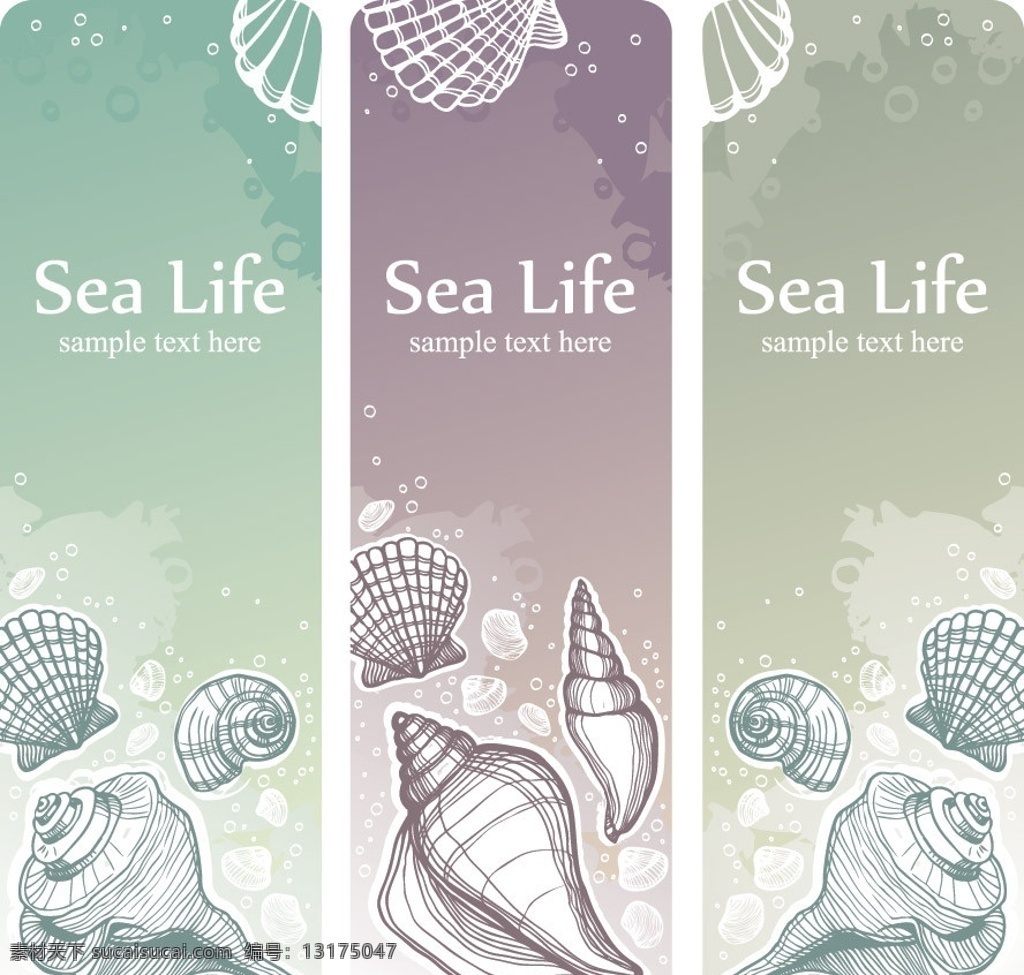手绘 海洋生物 展板 海螺 贝壳 怀旧 海洋 生物 矢量 生物世界