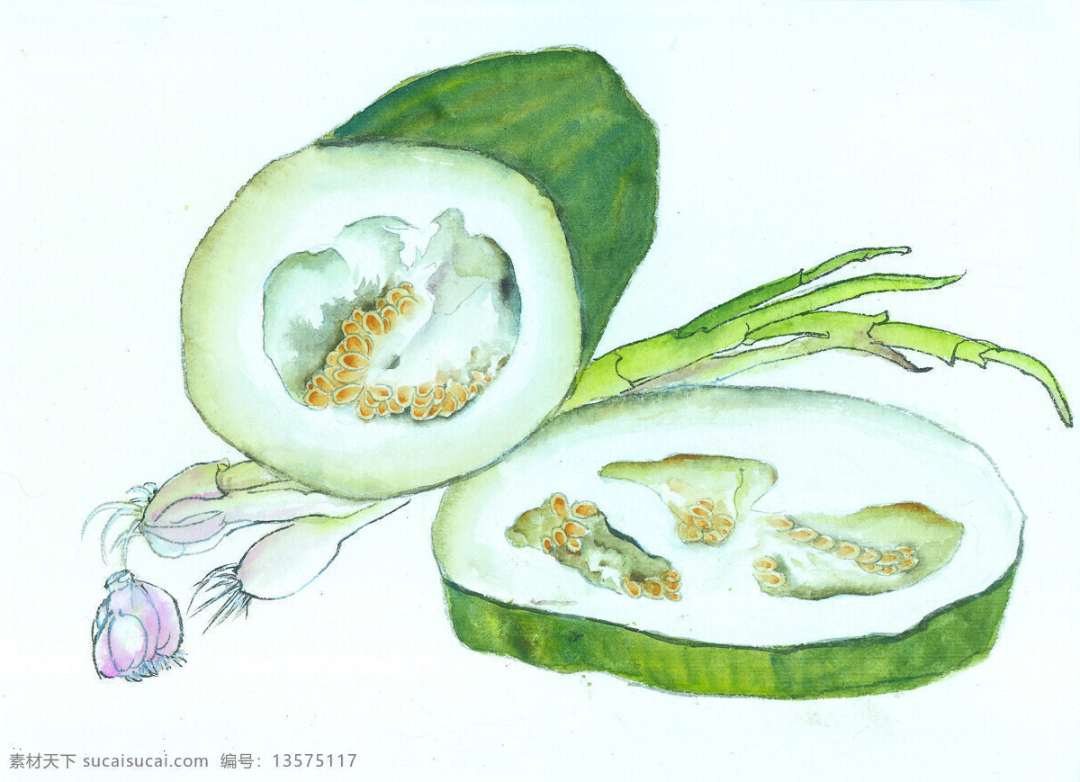 国画 蔬菜 大葱 冬瓜 水墨画 文化艺术