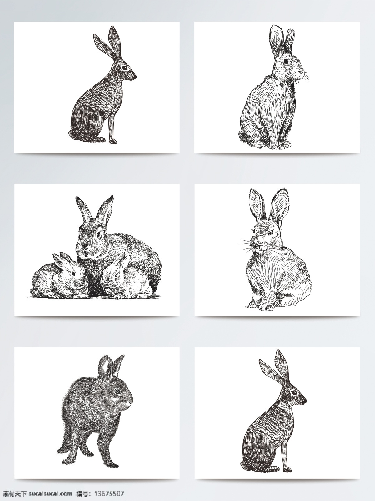 兔子 手绘 素描 插画 复活节 矢量素材 可爱 手绘插画 easter 兔耳朵 手绘兔子 复活节素材 ai素材 兔子素描 黑白兔子