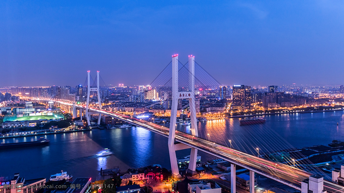 上海南浦大桥 南浦大桥 上海 南浦 大桥 led 夜景 照明 灯光 国内旅游 旅游摄 工程 立交桥 建筑摄影 建筑园林 园林建筑