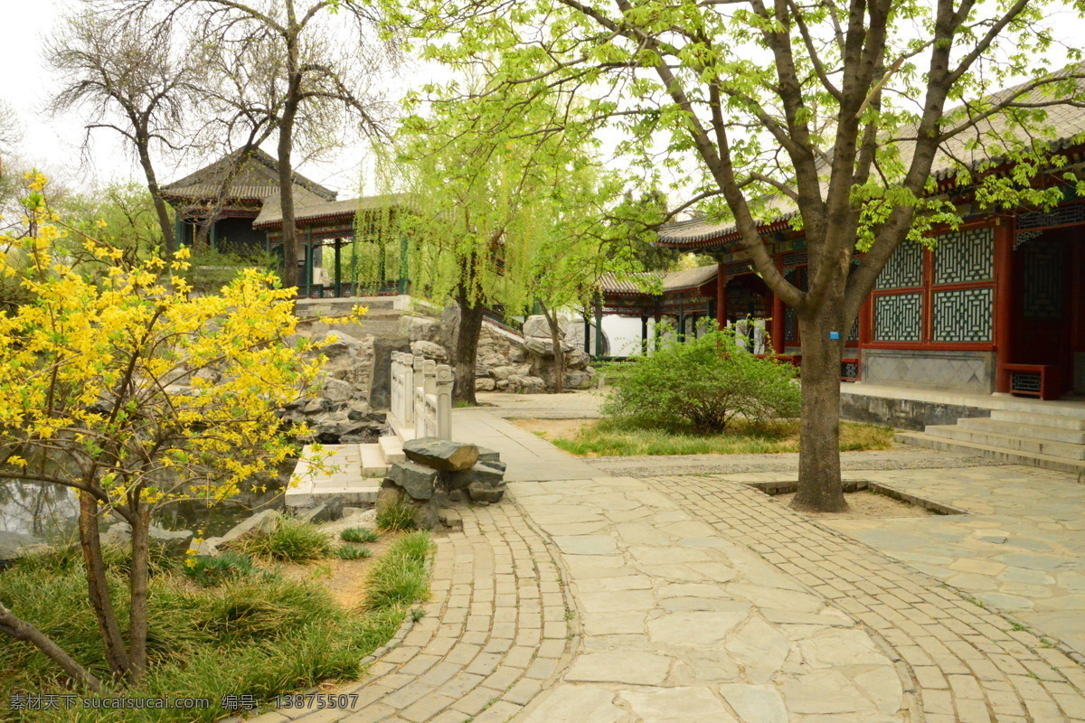 大观园春色 大观园风景 大观园美景 园林建筑 仿古建筑 凉亭 园林美景 小路 公园美景 园林风景 园林 植物 花草 园林景观 树木 绿化景观 建筑园林