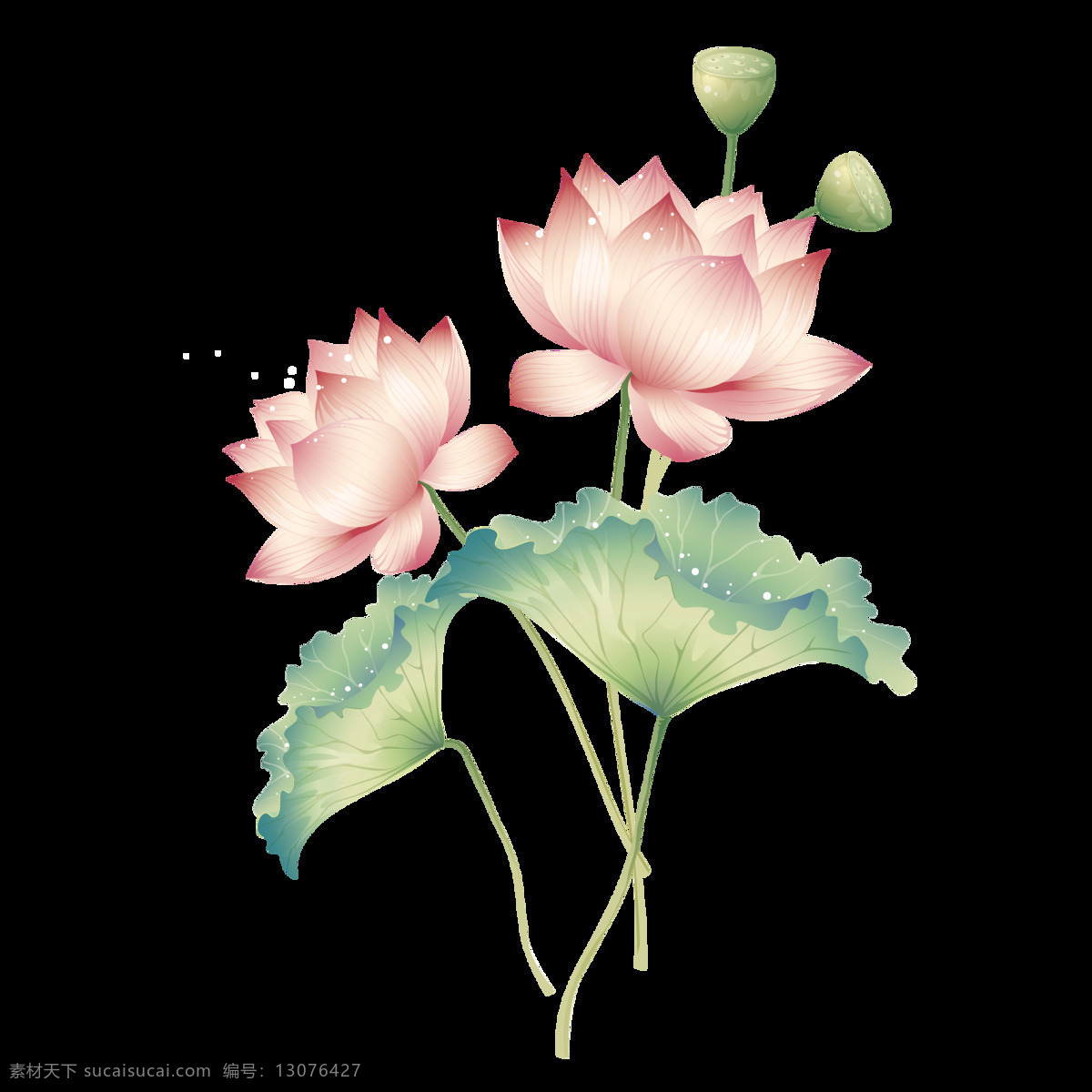 水彩 荷花 图案 元素 创意素材 粉色 古风花卉 荷花元素 花朵 花朵图案 花环图案 花卉元素 花树 莲蓬 时尚图案 手绘荷花 水彩荷花 图案设计