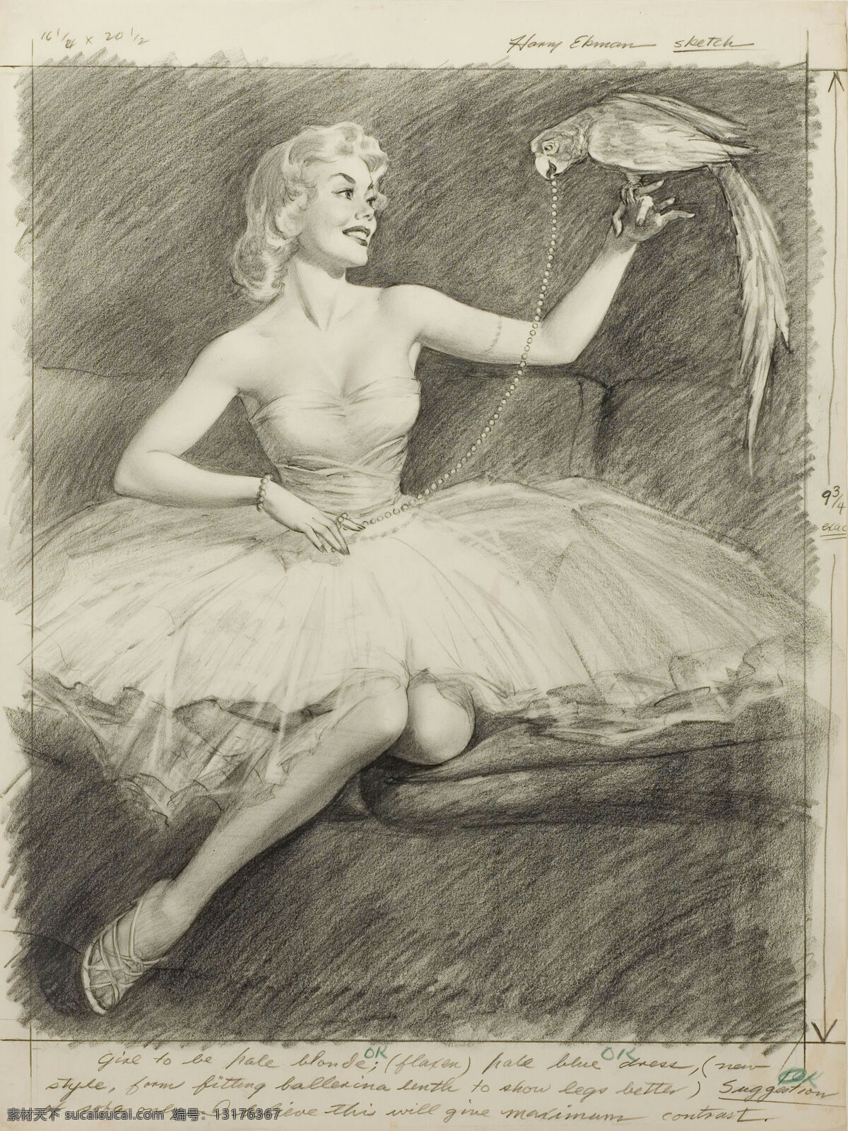鹦鹉 装饰画 无框画 素描 美女 素描美女 绘画 艺术 绘画书法 文化艺术