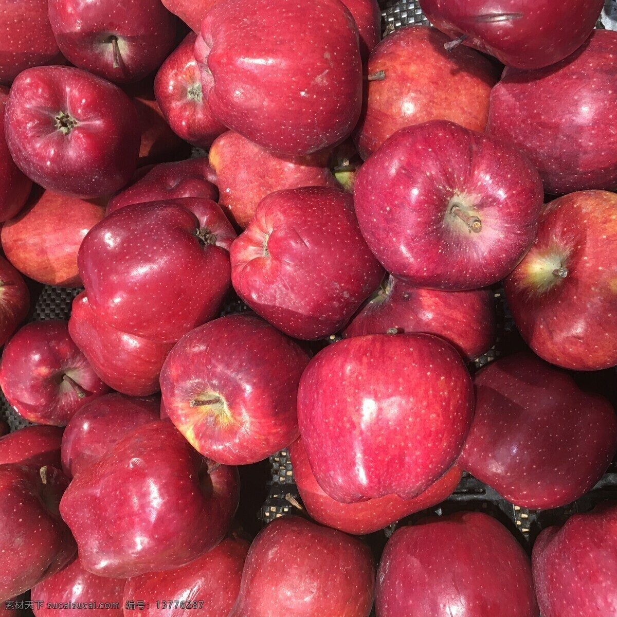 红蛇果 水果 精品水果 精品苹果 苹果 红苹果 甜苹果 餐饮美食