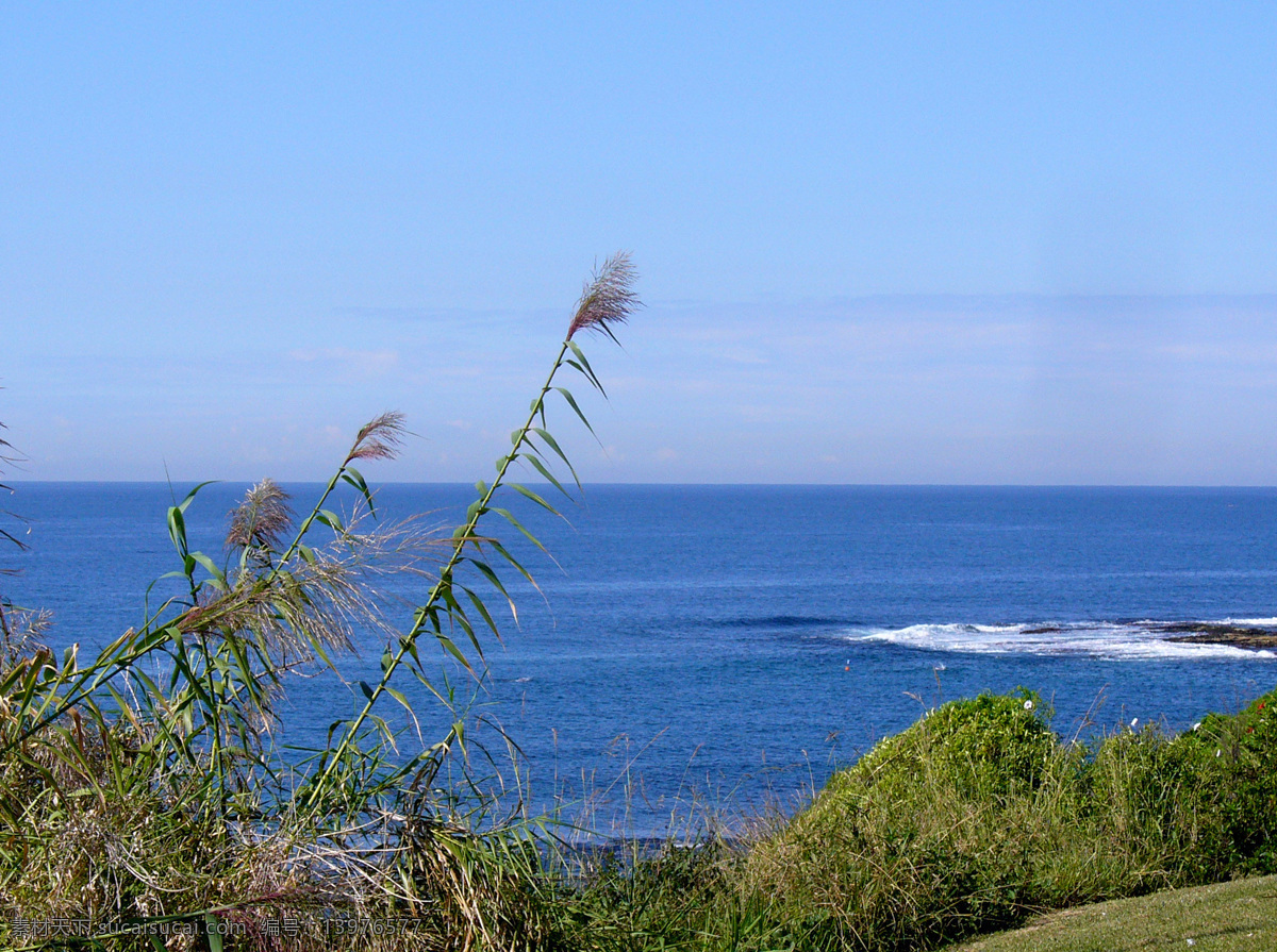 海景 海 海岸 海浪 海水 礁石 景 蓝天 辽阔 自然风光 太平洋 植物 自然风景 自然景观 风景 生活 旅游餐饮