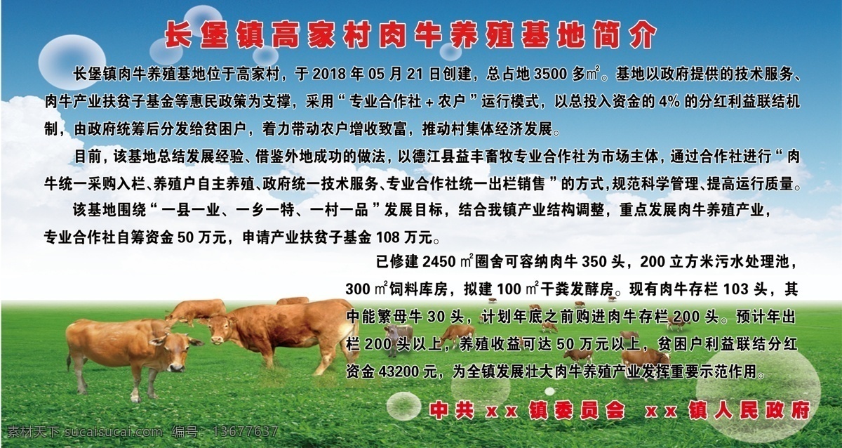肉牛养殖基地 肉牛养殖 生态牧场 生态养殖 养殖广告 农场广告 牧场海报