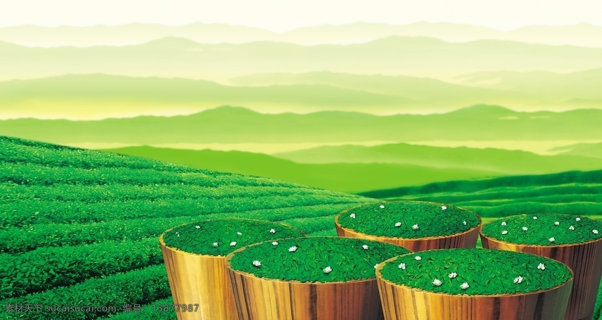 茶田 风景 远山 绿 茶叶