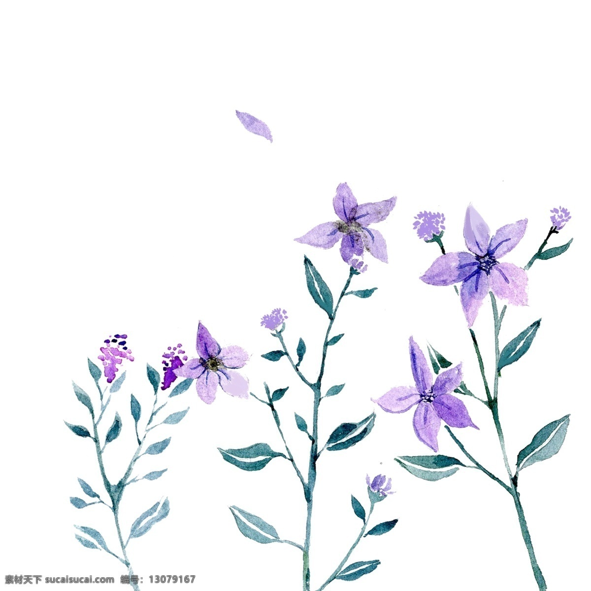 水彩 花 的卡 通 插画 紫色的水彩花 卡通插画 花朵插画 水彩花插画 花朵 花枝 鲜花 花束 漂亮的水彩花