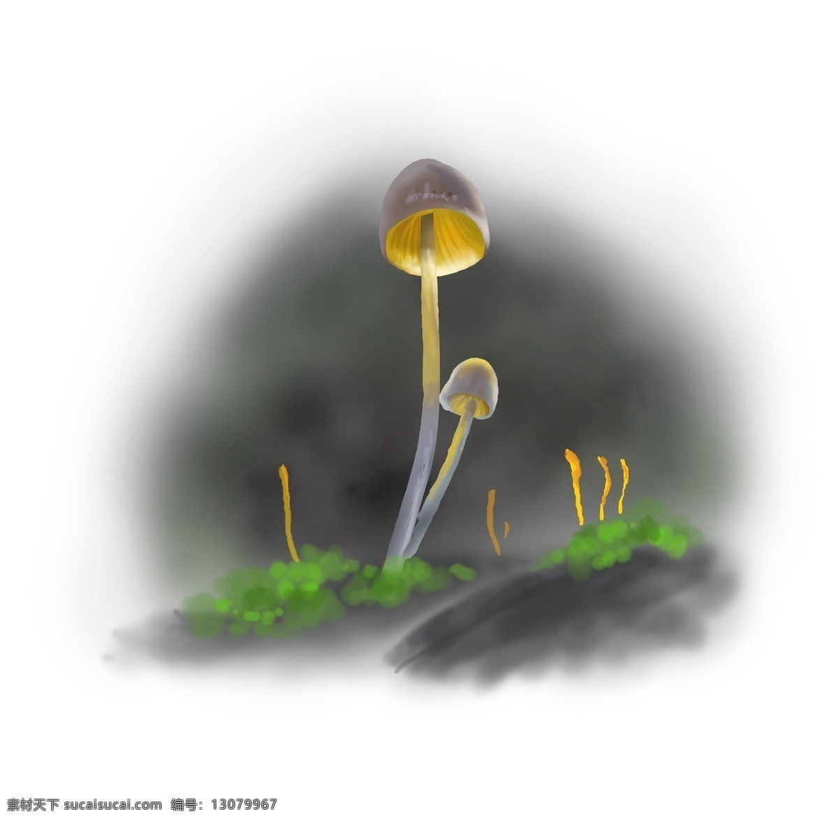 春天 手绘 蘑菇 插画 绿色 草地 苔藓 雨林 树林 林子 菌类 特写 清新 自然 食物 植物