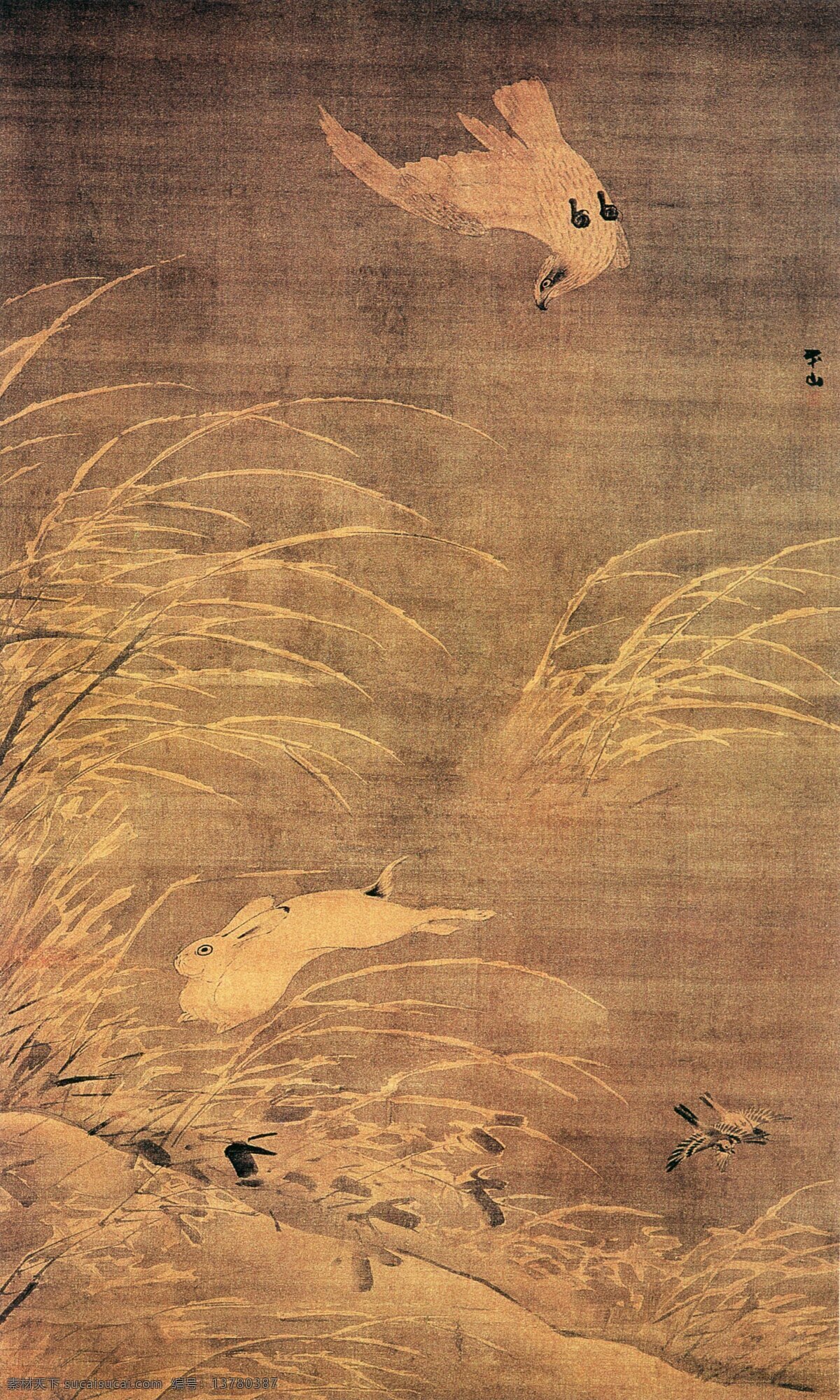苍鹰 攫 兔 图 花鸟画 鹰 苍鹰攫兔图 张路 中国传世名画 古典花鸟画 文化艺术