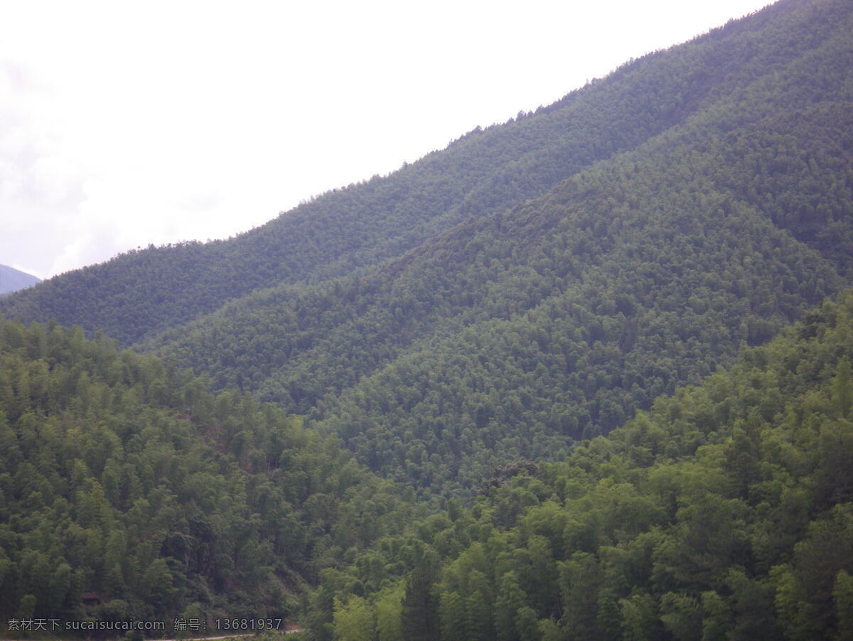 山景 绿山 山顶 山水风景 树林 竹 竹林 竹山 自然景观 矢量图 日常生活