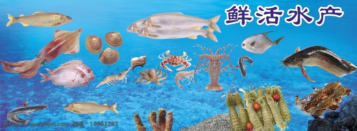 水产 海报 贝壳 海产品 海鲜 龙虾 螃蟹 水产品 鱼类 鱼虾 psd源文件