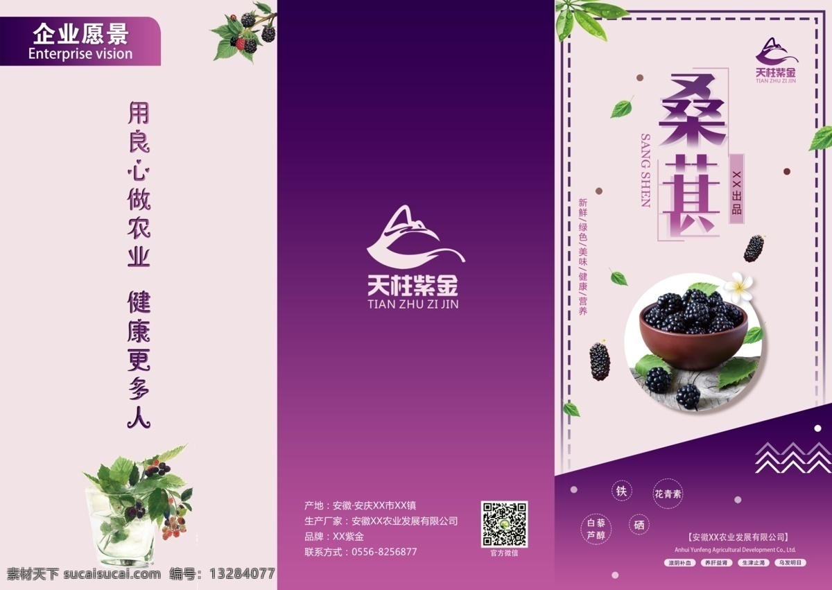 紫色 桑葚 三 折页 桑葚干 桑葚醋 三折页