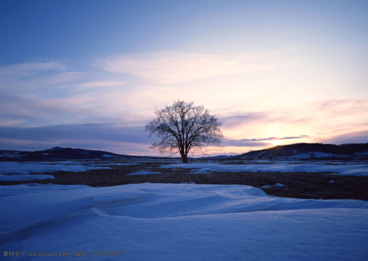 雪地 里 颗 树 自然 风景 书 天空 空旷 白云 一个树 安静 日落 唯美 花草树木 生物世界 蓝色