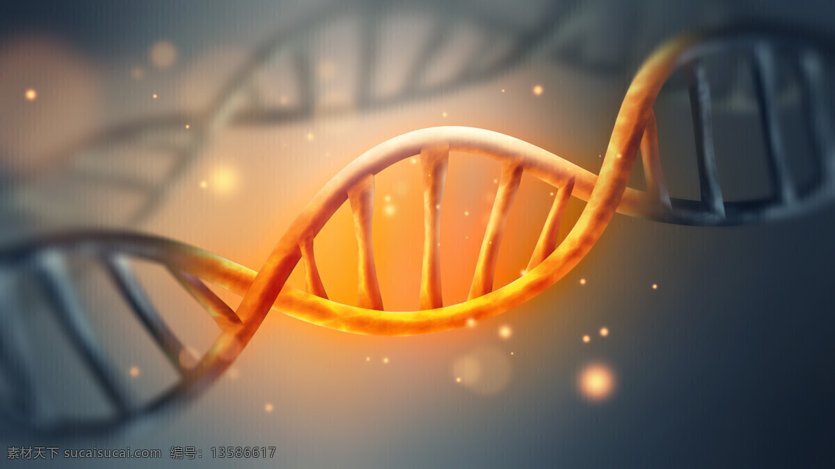 唯美 炫酷 3d 立体 基因 dna 基因链 生物基因 3d设计